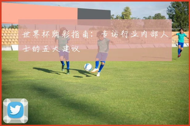 世界杯购彩指南：专访行业内部人士的五大建议
