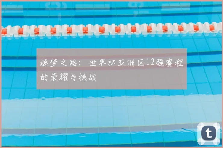 逐梦之路：世界杯亚洲区12强赛程的荣耀与挑战