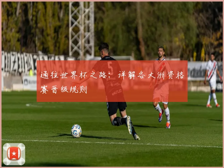 通往世界杯之路：详解各大洲资格赛晋级规则