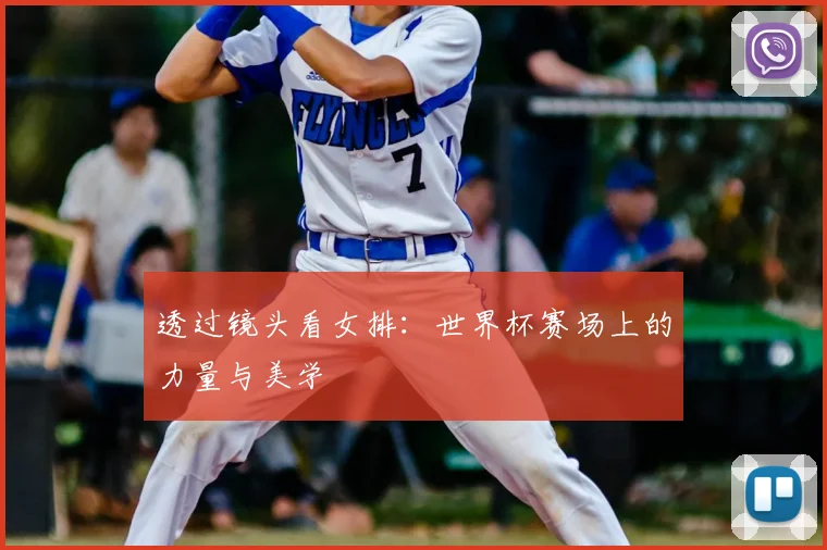 透过镜头看女排：世界杯赛场上的力量与美学