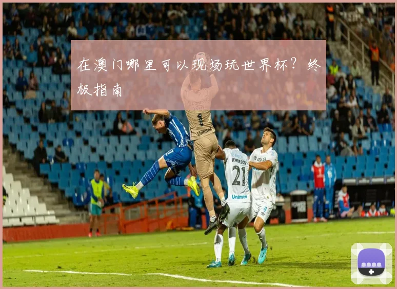 在澳门哪里可以现场玩世界杯?终极指南