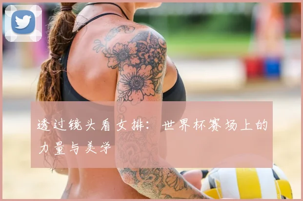 透过镜头看女排：世界杯赛场上的力量与美学
