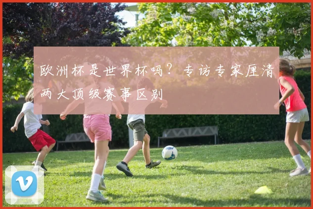 欧洲杯是世界杯吗？专访专家厘清两大顶级赛事区别