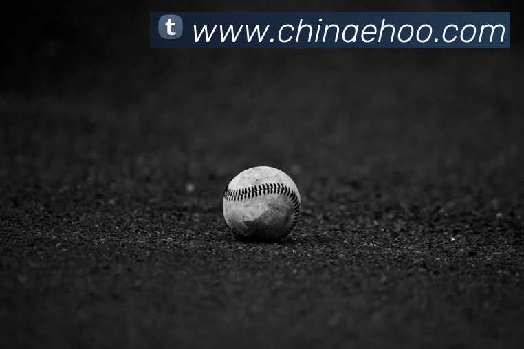 环球官方网站平台生态图